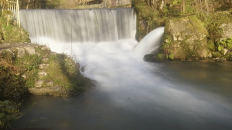 photo 975433