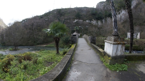 photo 975439