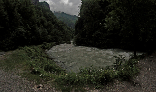 _DSC5563