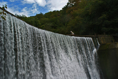 photo 236056