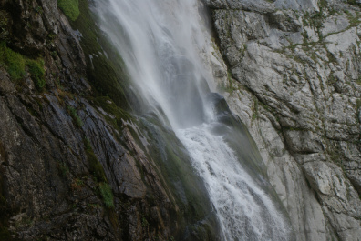 photo 522286