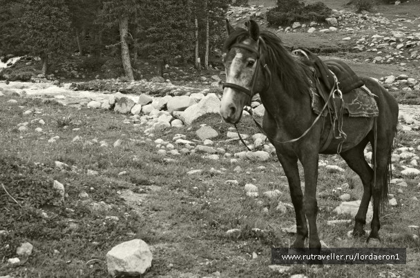 photo 417036