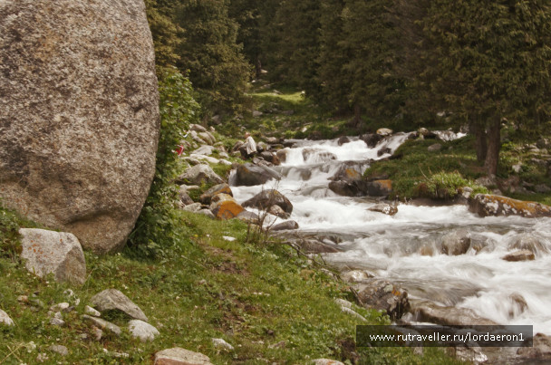 photo 417037