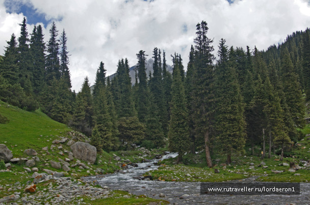 photo 417042