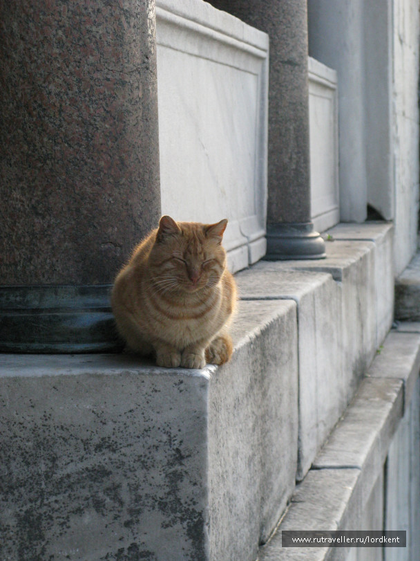 photo 235883