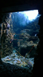 photo 982969