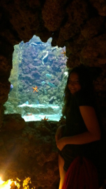 photo 982972