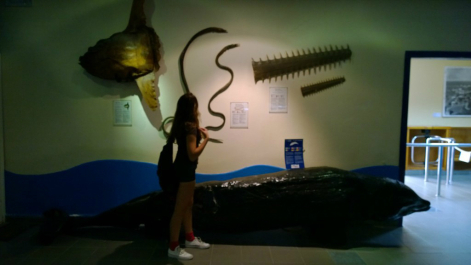 photo 982977
