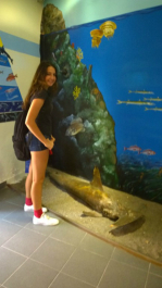 photo 982978