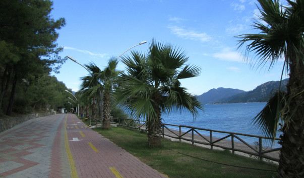 image (2)