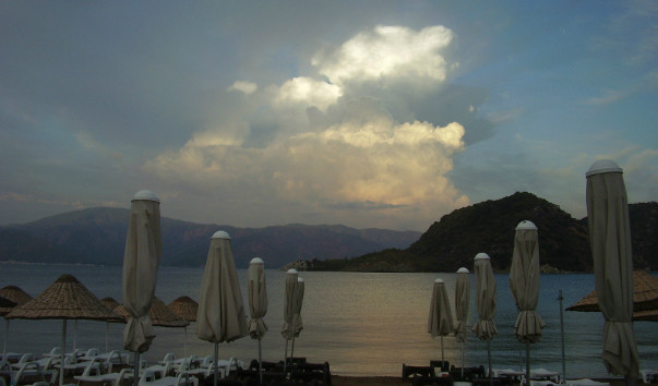 image (1)