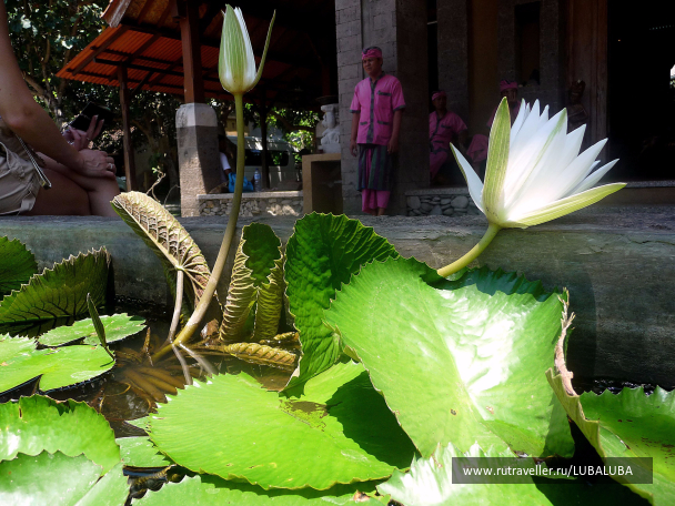 photo 1037814