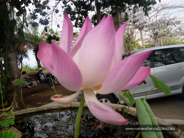 photo 1037830