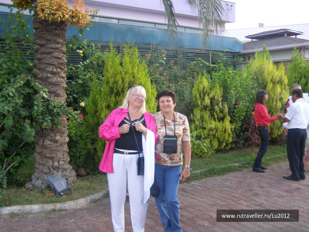 photo 288186