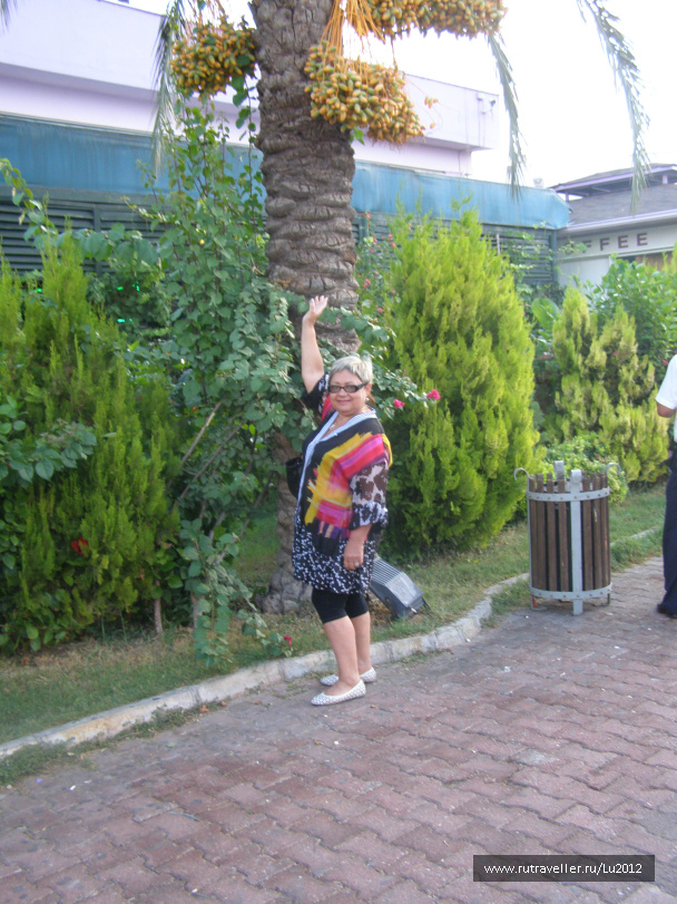 photo 288191