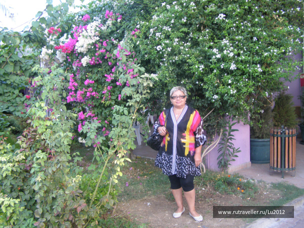 photo 288192