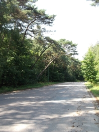photo 501921