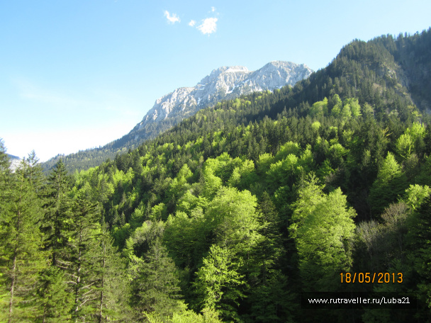 photo 400424