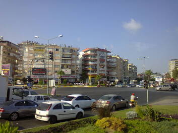 photo 593889