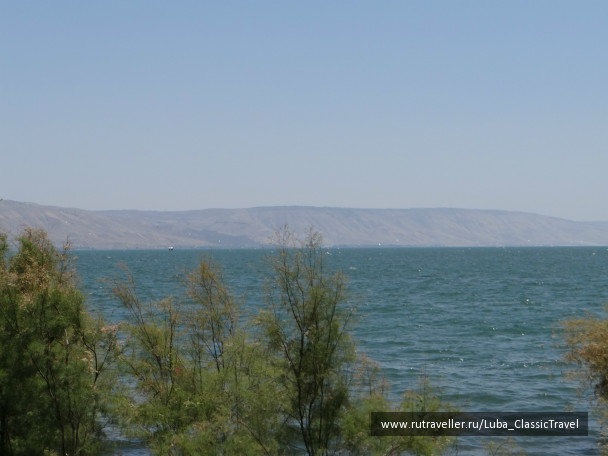 photo 436564