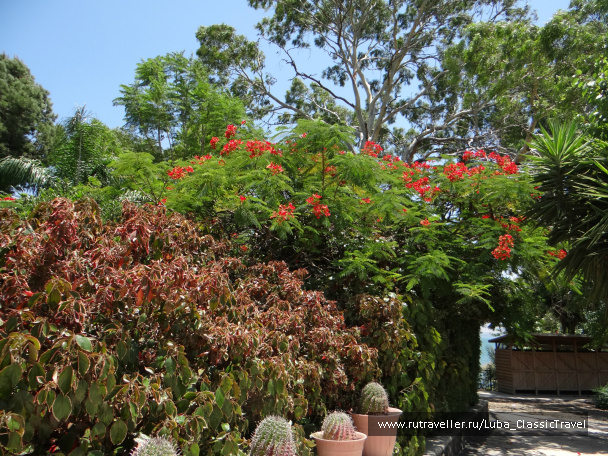 photo 436568