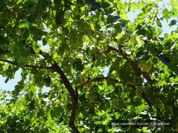 photo 436569