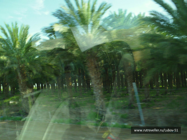 photo 335833
