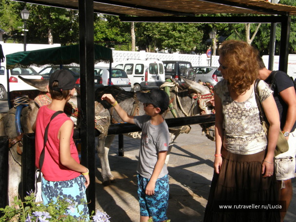photo 1250344