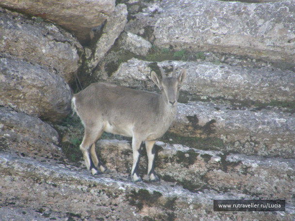 photo 1264304