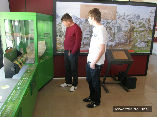 photo 1264306