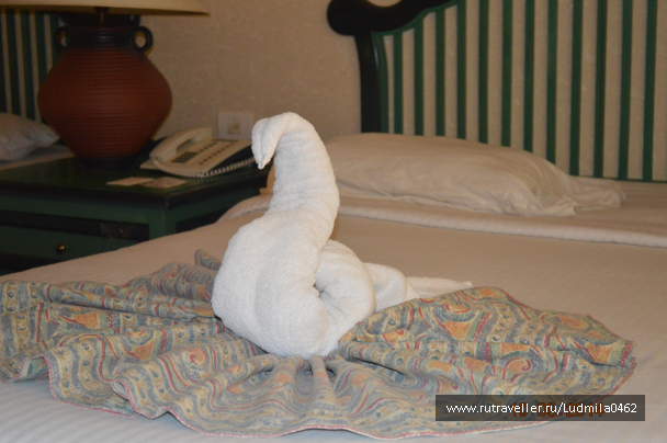 photo 1103152