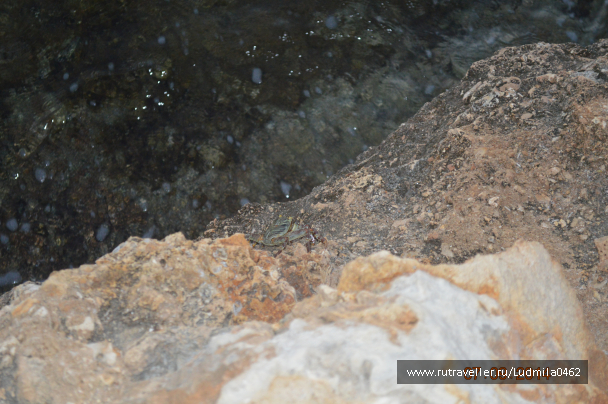 photo 1103197