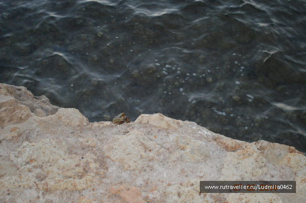 photo 1103199