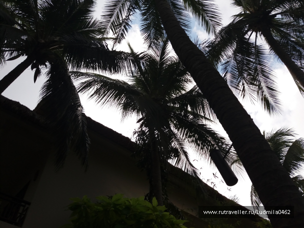 photo 1626156