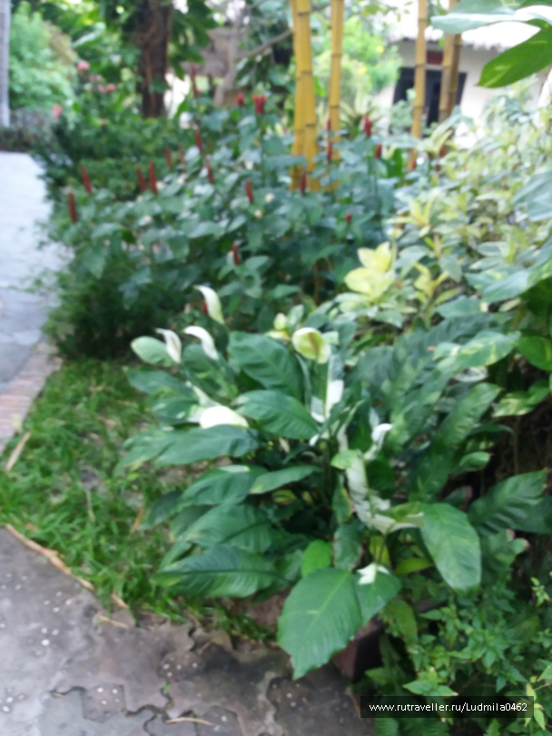 photo 1626160