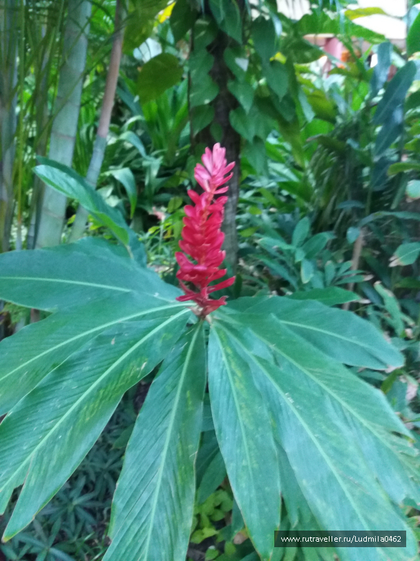 photo 1626161