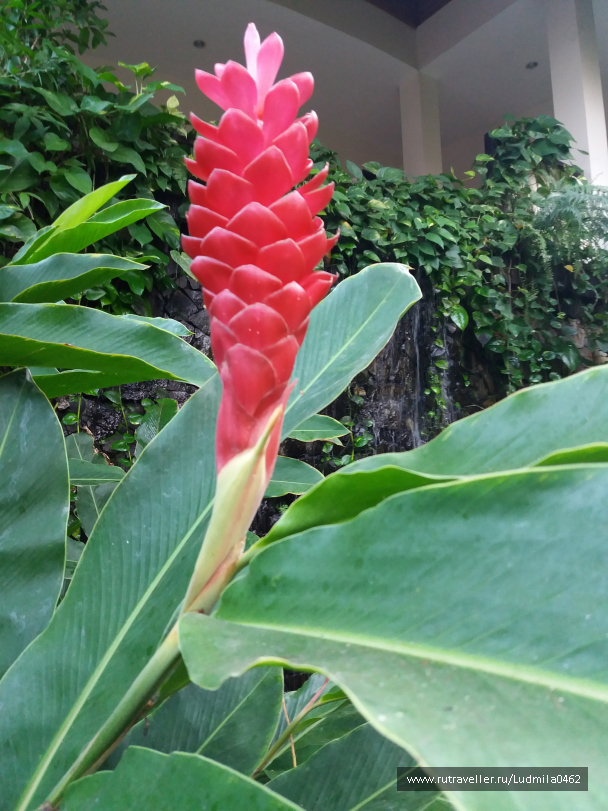 photo 1626163