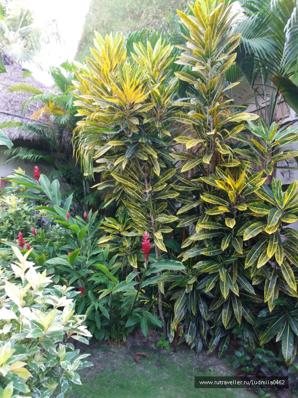 photo 1626168