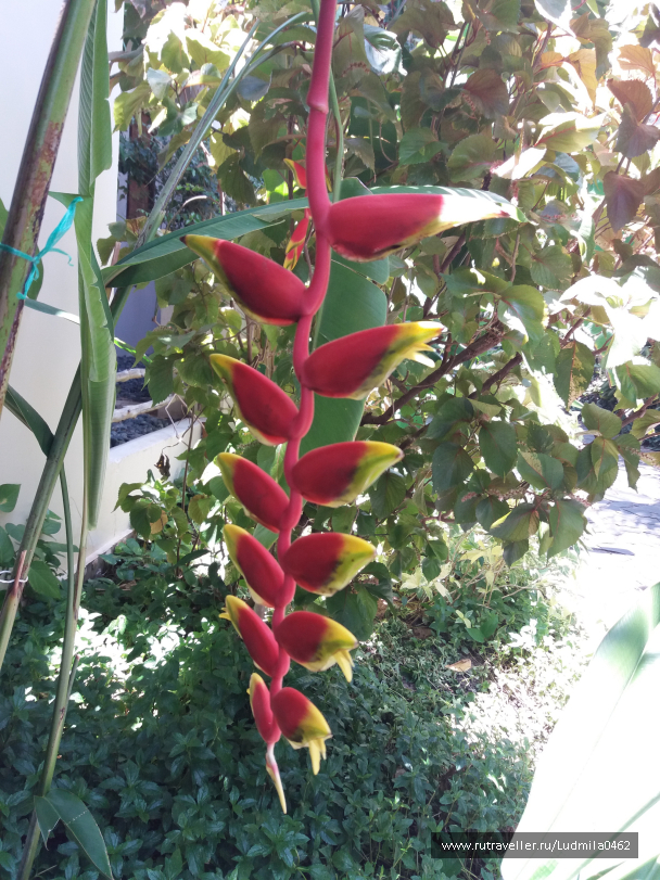 photo 1626180