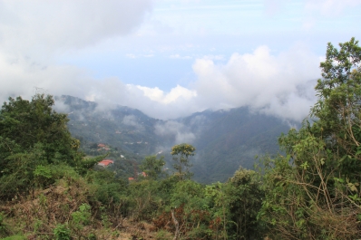 photo 851819