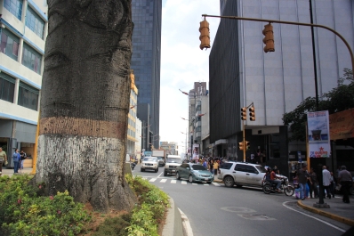 photo 851833
