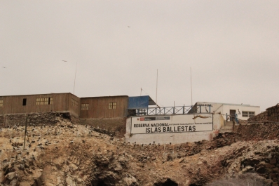 photo 852422