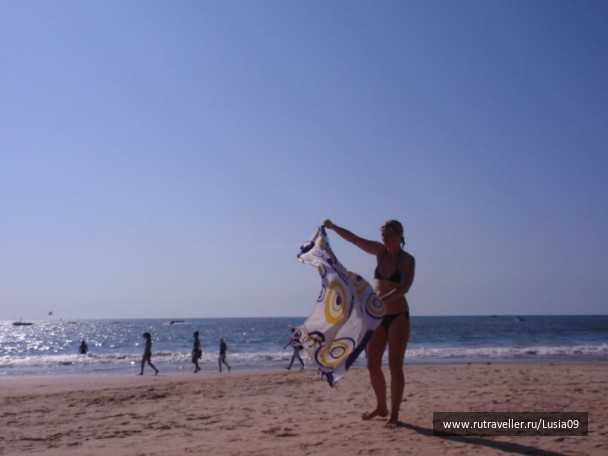 photo 1565941