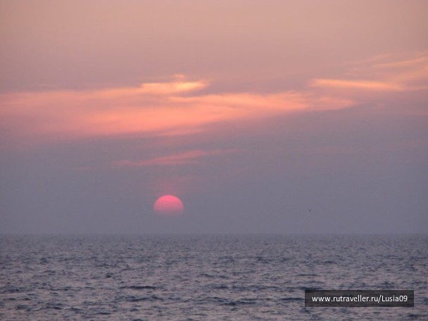 photo 1565944