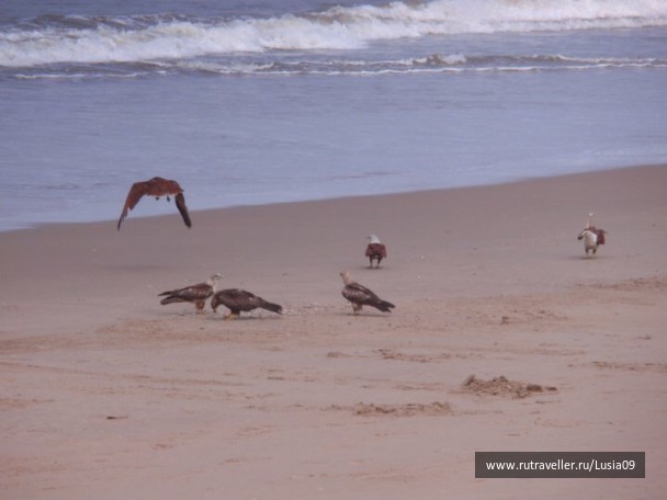photo 1565962