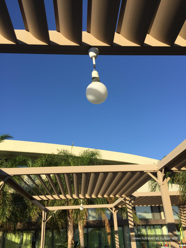 photo 1565011