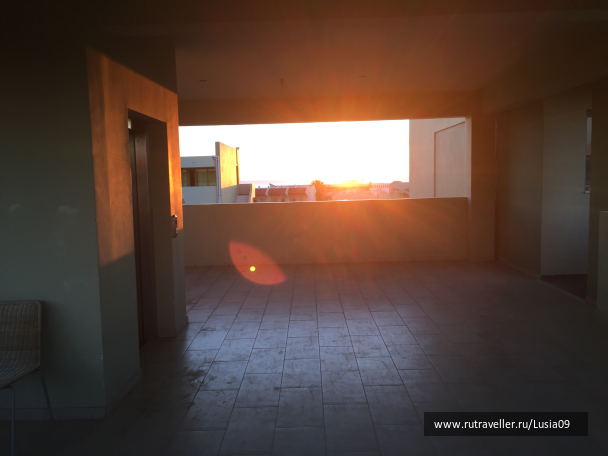 photo 1565584