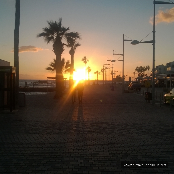 photo 1575431