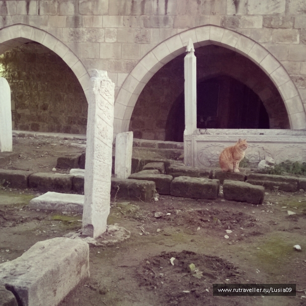 photo 1575434