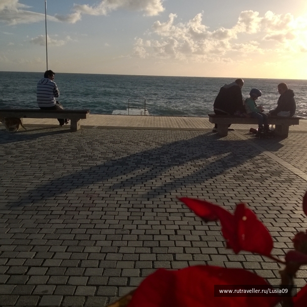 photo 1575436
